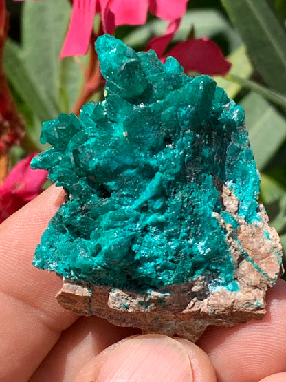 Dioptase, spécimen cristalisé de 52mm x 42 x 17 - 31 grammes ! Rare et puissante en minéralogie et lithothérapie !