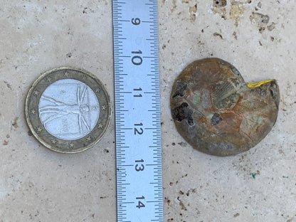 Ammonite nacrée sciée en 2, médaillon de 33mm x 28 x 9 - 9,9 grammes. Parfait pour collection, exposition...