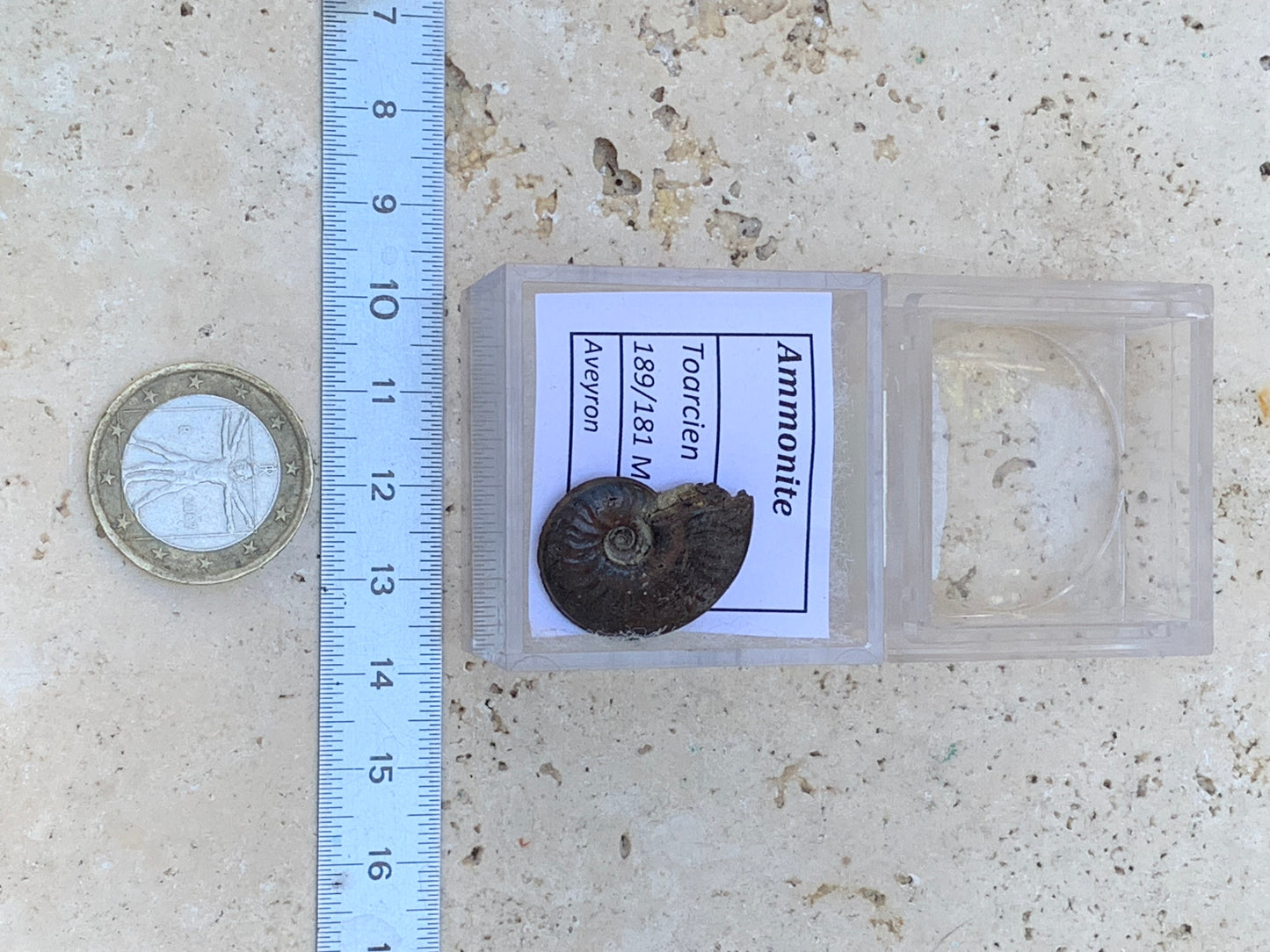 Ammonite pyritisé de France (Aveyron), de 22mm x 19 x 6 - 4,8 grammes. Parfait pour collection, exposition... Vendu avec boîte loupe de 4 x4 x4cm !