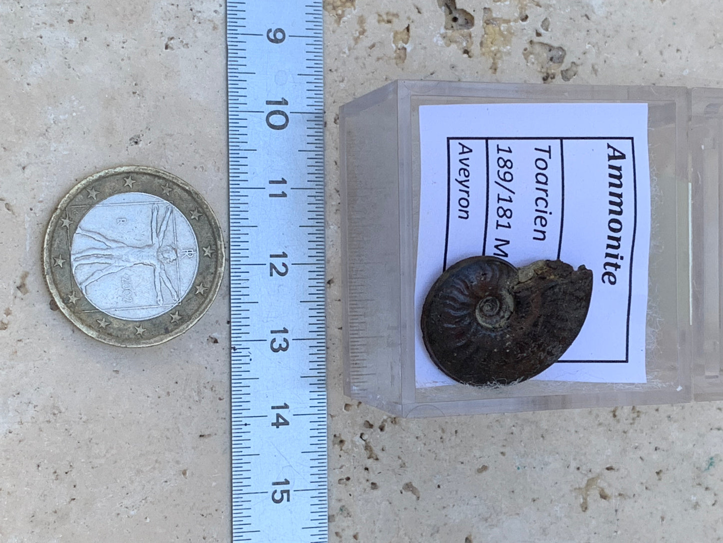 Ammonite pyritisé de France (Aveyron), de 22mm x 19 x 6 - 4,8 grammes. Parfait pour collection, exposition... Vendu avec boîte loupe de 4 x4 x4cm !