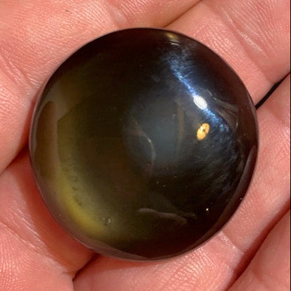 Obsidienne noire - Galet rond - 35 mm de diamètre x 12 - 17 gr.