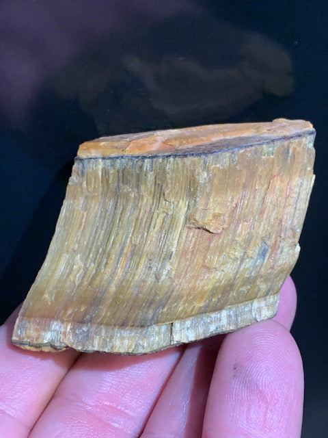 Oeil de tigre, spécimen brut et naturel - 65 x 43 x 27 mm - 99,8 gr.
