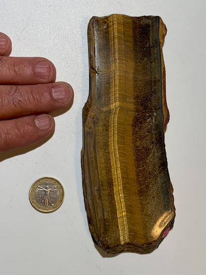 Oeil de tigre, plaque/ tranche polie de 170 x 60 x 12 mm - 124 grammes. Magnifique pièce pour exposition, lithothérapie, collection...