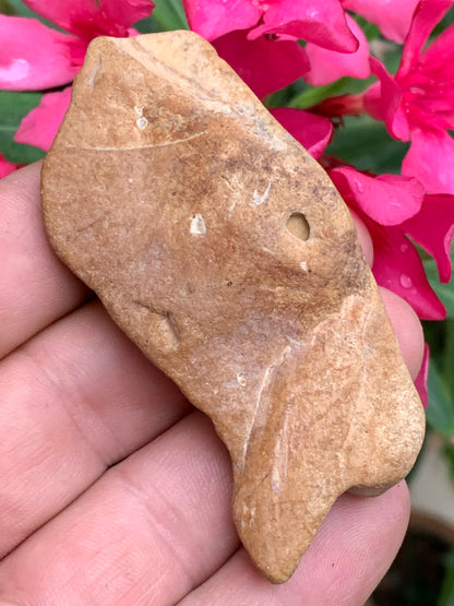 Poisson fossilisé de 7,4 x 3,6 x 1,7 centimètres / 44,7 grammes. Parfait pour décoration, collection ou exposition...