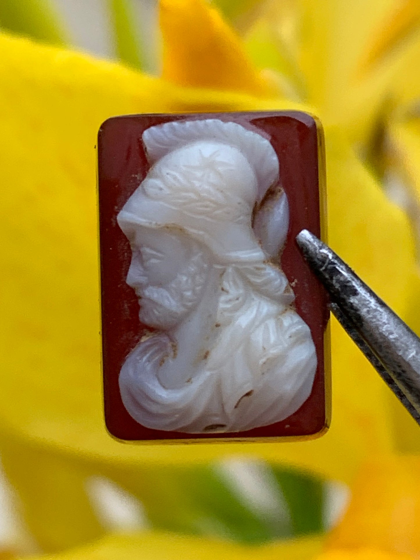 Camée/ Caméo, 5 pièces au choix en pierre d'Onyx de 14mm x 10 x0,3. Ancien et authentique, de véritables oeuvres d'art, gravure d'une précision ultime. Parfait en collection, exposition, bijouterie...