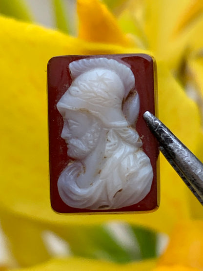 Camée/ Caméo, 5 pièces au choix en pierre d'Onyx de 14mm x 10 x0,3. Ancien et authentique, de véritables oeuvres d'art, gravure d'une précision ultime. Parfait en collection, exposition, bijouterie...