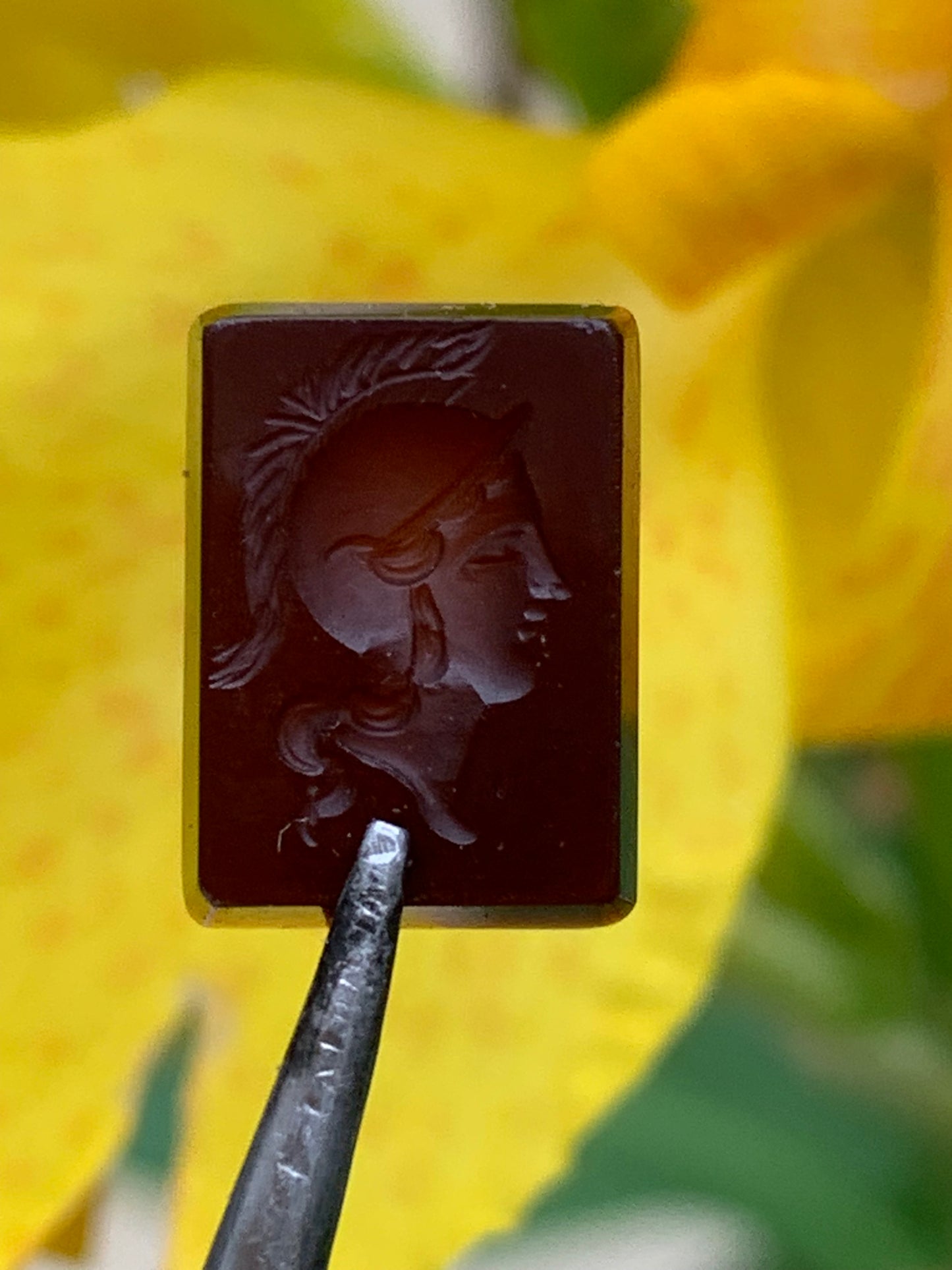 Camée/ Caméo, 5 pièces au choix en pierre d'Onyx de 14mm x 10 x0,3. Ancien et authentique, de véritables oeuvres d'art, gravure d'une précision ultime. Parfait en collection, exposition, bijouterie...