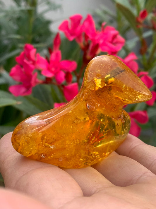 Ambre de la mer Baltique, 65mm x 48 x 27 - 31,2 grammes. Très belle qualité, superbe pièce de belle taille avec inclusions !