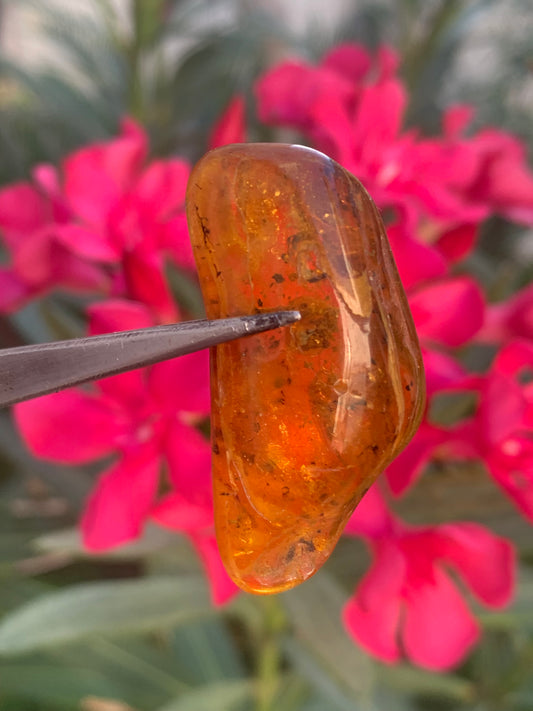 Ambre, galet avec inclusion d'une araignée, 40mm x20 x 10 - 4,1 grames. Superbe pièce pour bijouterie ou collection !