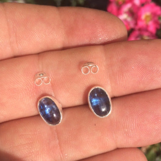 Puces/ Boucles d'oreilles en 'Cyanite bleue' du Brésil, qualité AA à AAA. Finition Argent 0.925, parfait !