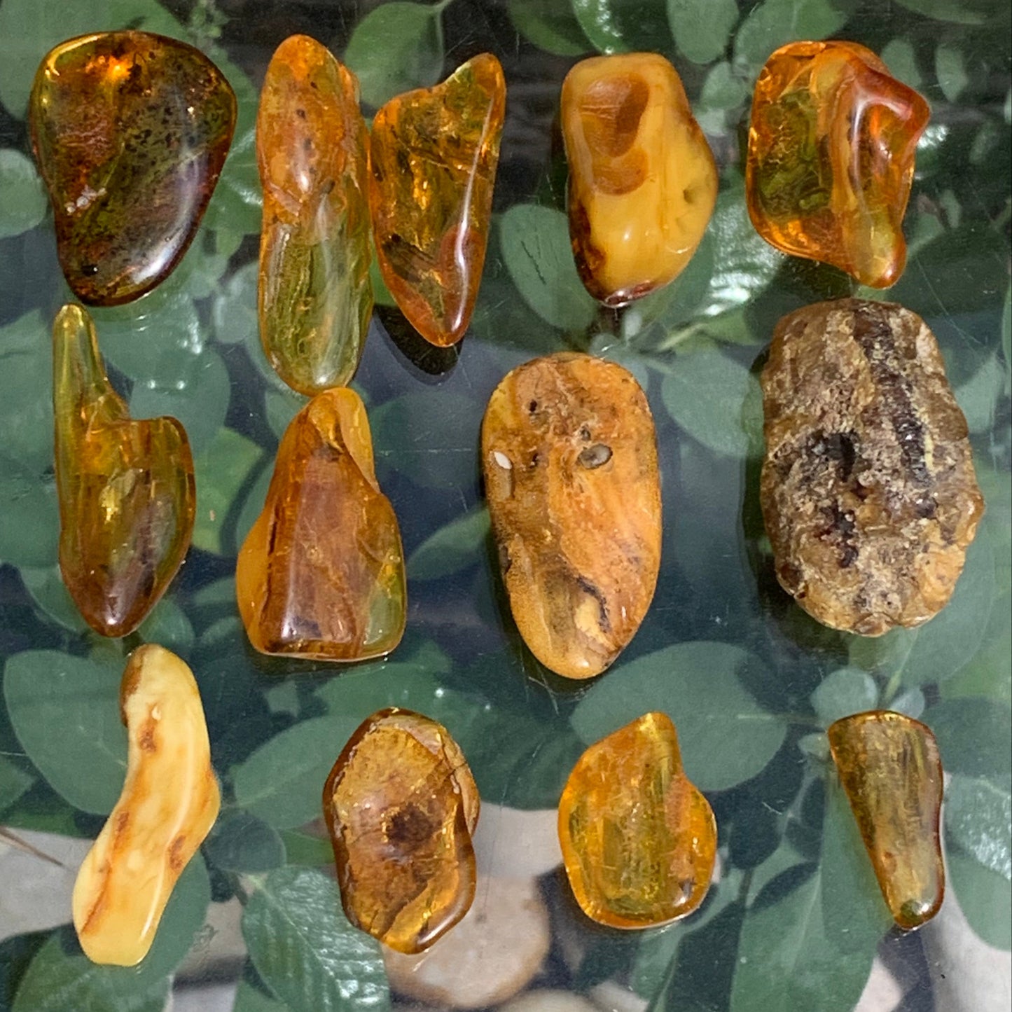 Ambre de Lituanie, sélection de spécimens roulés (polis), qualité extra. 40x25x15 mm en moyenne ! Parfait pour la bijouterie, collection...