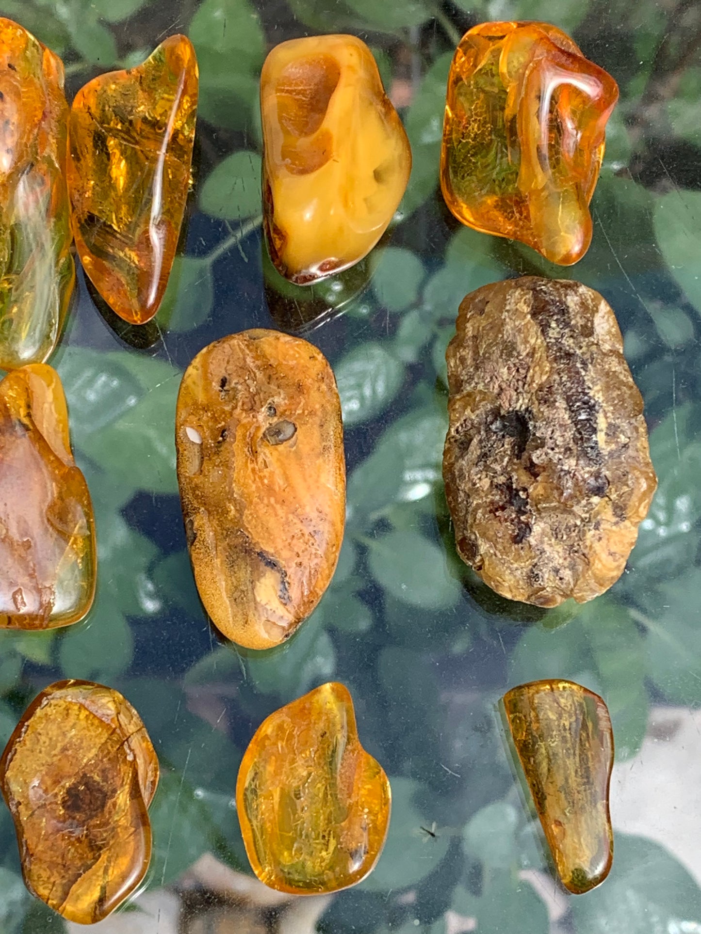 Ambre de Lituanie, sélection de spécimens roulés (polis), qualité extra. 40x25x15 mm en moyenne ! Parfait pour la bijouterie, collection...