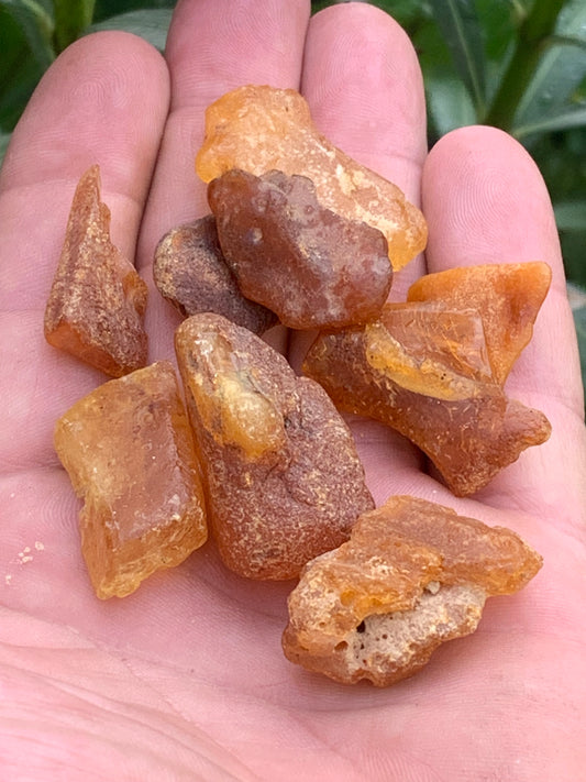 Ambre brut de Lituanie, vente en lot de 25 grammes. Taille de 40x25x15 mm en moyenne ! Parfait pour la bijouterie, collection...