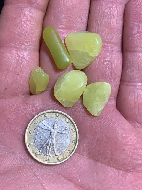 Serpentine Noble – lot de 5 pièces - 15 x 10 x 3 mm/ 6 gr.