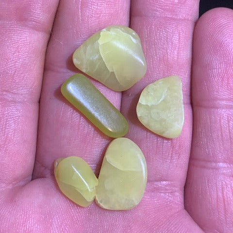 Serpentine Noble – lot de 5 pièces - 15 x 10 x 3 mm/ 6 gr.