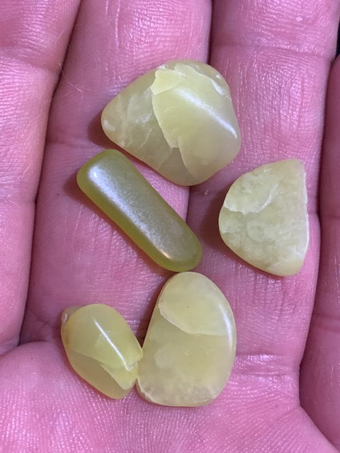Serpentine Noble – lot de 5 pièces - 15 x 10 x 3 mm/ 6 gr.