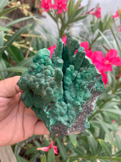 Malachite, superbe spécimen de taille XL de 723 grammes - 105mm x 100 x 75. Parfait pour une collection, exposition ou la bijouterie !
