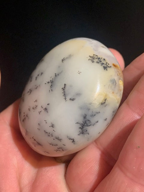 Agate dentritique ou dentrique - Galet de taille L : 52 x 26 millimètres - 86,7 grammes