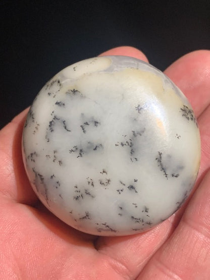 Agate dentritique ou dentrique - Galet de taille L : 52 x 26 millimètres - 86,7 grammes