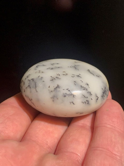 Agate dentritique ou dentrique - Galet de taille L : 52 x 26 millimètres - 86,7 grammes