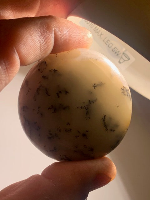 Agate dentritique ou dentrique - Galet de taille L : 52 x 26 millimètres - 86,7 grammes