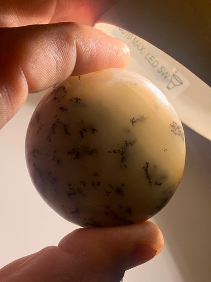 Agate dentritique ou dentrique - Galet de taille L : 52 x 26 millimètres - 86,7 grammes