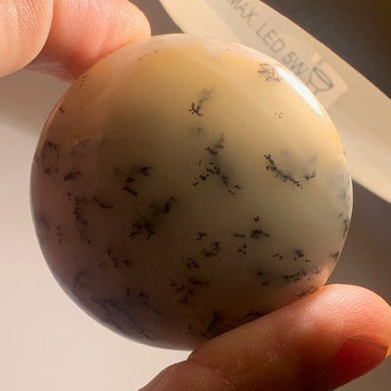 Agate dentritique ou dentrique - Galet de taille L : 52 x 26 millimètres - 86,7 grammes