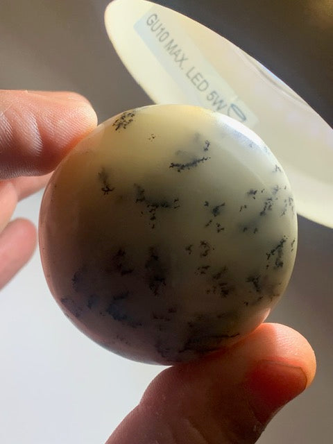 Agate dentritique ou dentrique - Galet de taille L : 52 x 26 millimètres - 86,7 grammes