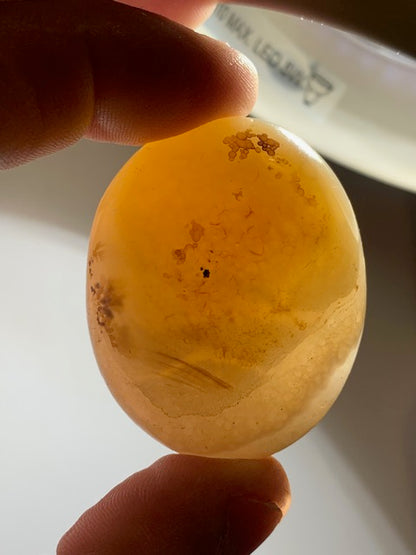 Agate Rubanée - Galet - 46 x 38 x 23 millimètres - 59,8 grammes