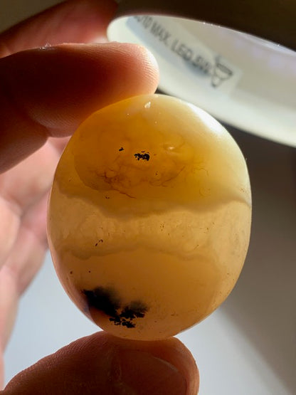 Agate Rubanée - Galet - 46 x 38 x 23 millimètres - 59,8 grammes