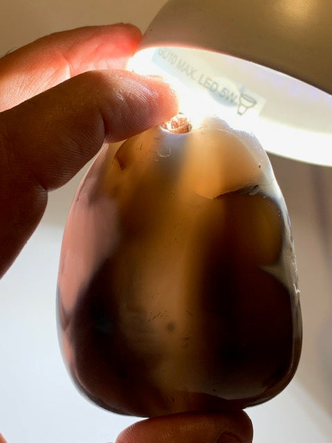 Agate enhydre ou Agate à eau - Galet de taille L - 70 x 57 x 31 millimètres - 191 grammes