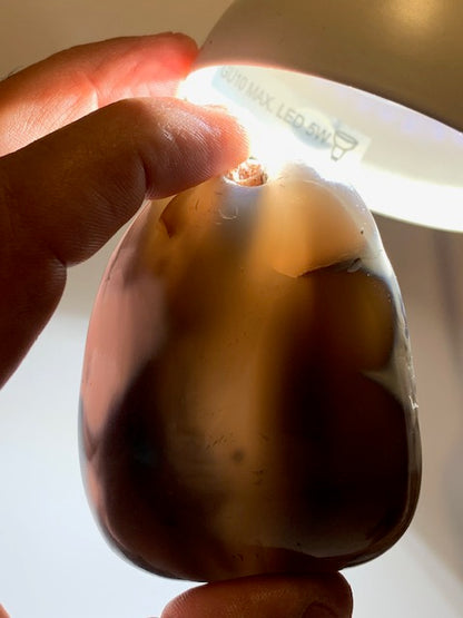 Agate enhydre ou Agate à eau - Galet de taille L - 70 x 57 x 31 millimètres - 191 grammes