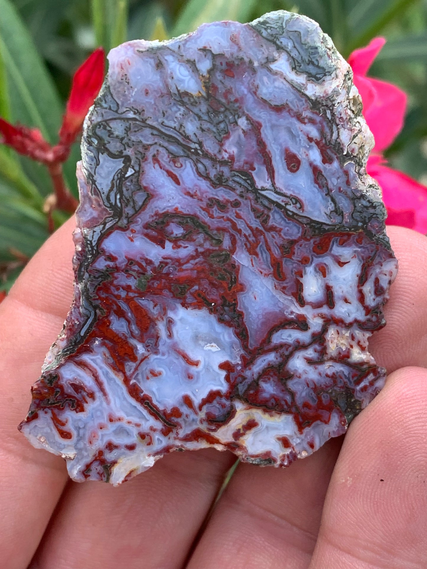 Agate mousse, magnifique spécimen de 62x50x22mm - 60,7 grammes. Des dessins et couleurs rares et uniques !