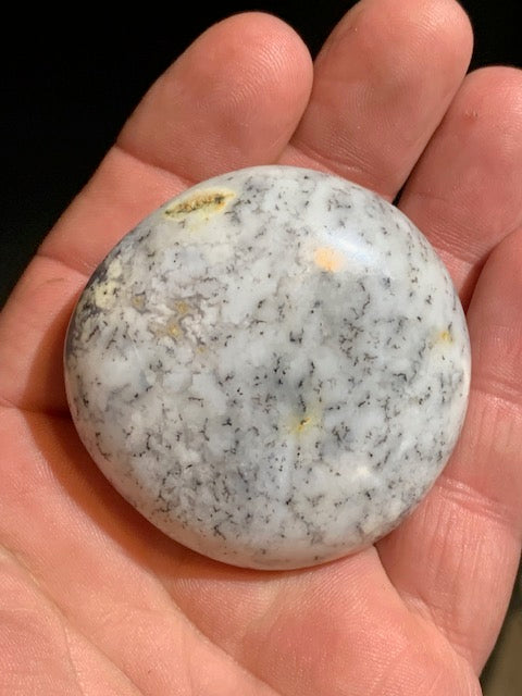 Agate dentritique ou dentrique - Galet de taille L : 54 x 53 x 28 millimètres - 100,1 grammes