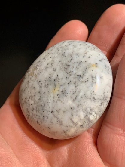 Agate dentritique ou dentrique - Galet de taille L : 54 x 53 x 28 millimètres - 100,1 grammes