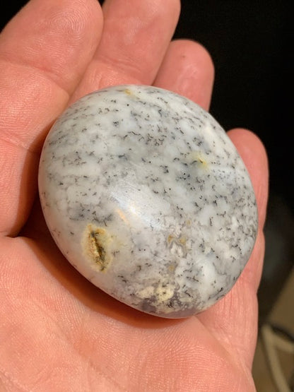 Agate dentritique ou dentrique - Galet de taille L : 54 x 53 x 28 millimètres - 100,1 grammes