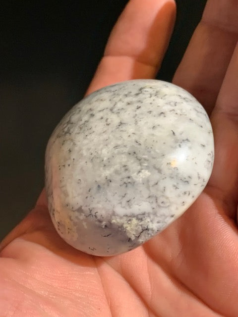 Agate dentritique ou dentrique - Galet de taille L : 54 x 53 x 28 millimètres - 100,1 grammes