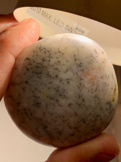 Agate dentritique ou dentrique - Galet de taille L : 54 x 53 x 28 millimètres - 100,1 grammes