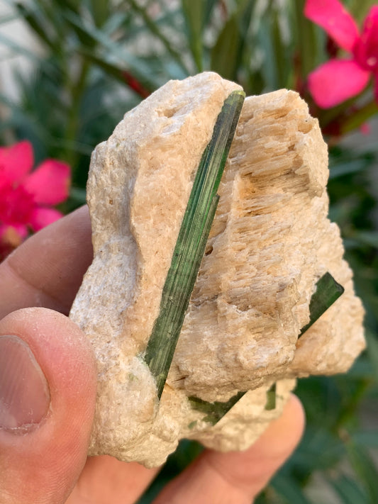 Tourmaline verte/ Verdélite, spécimen naturel de 183 x 62 x 35 mm - 144,5 grammes environ. 2 magnifiques cristaux de belle longueur !