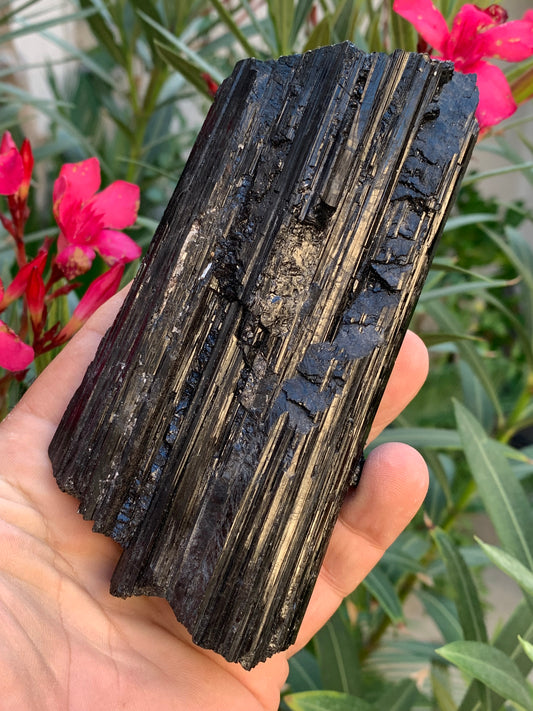Tourmaline noire, spécimen naturel de 137 x 64 x 40 mm - 568 grammes. Une très belle pièce de belle taille !