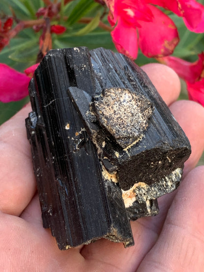 Tourmaline noire, spécimen naturel de 62 x 44 x 42 mm - 136 grammes. Une très belle pièce représentative de la varièté !