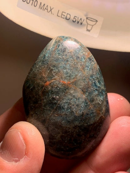 Apatite bleue – Galet/ Pierre plate – 54 × 37 × 18 mm – 62,8 g