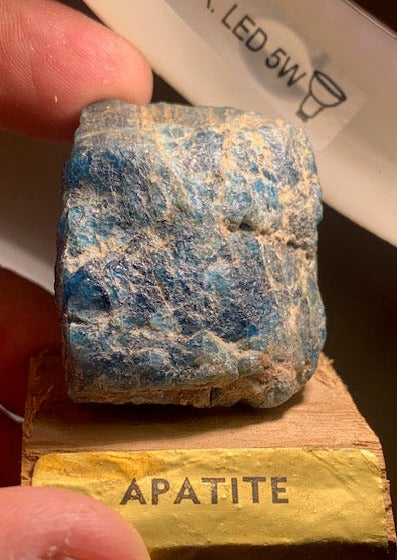 Apatite bleue – spécimen brut sur socle, collection ancienne – 50 × 40 × 40 mm – 73,5 g