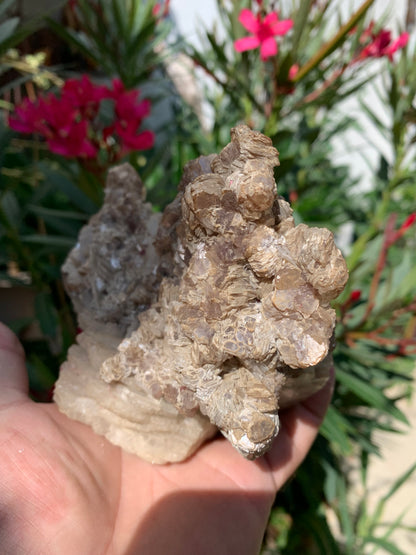 Conglomérat avec Apophyllite, muscovite et Tourmaline Rubellite, superbe spècimen naturel de 170 mm x 90 x 113 - 1 158 grammes !