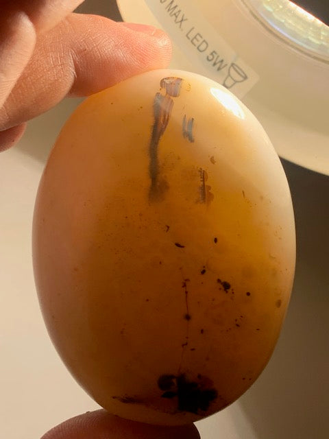 Agate Rubanée - Galet - 71 x 53 x 33 millimètres - 171 grammes