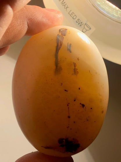 Agate Rubanée - Galet - 71 x 53 x 33 millimètres - 171 grammes