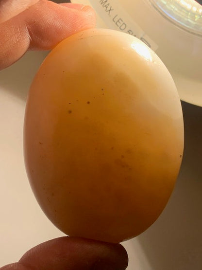 Agate Rubanée - Galet - 71 x 53 x 33 millimètres - 171 grammes