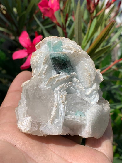Tourmaline bleue/ Indicolite, spécimen naturel sur Quartz et Albite, de 73 x 62 x 66 mm - 293,5 grammes. Un trés beau cristal bleu transperçant !