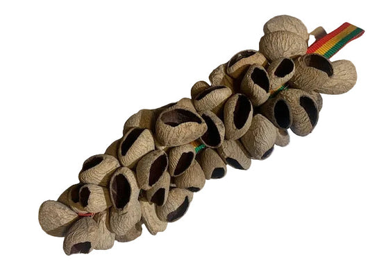 Hochet en grappe de coquilles de Pangi (50 à 60), 40 cm de long x 10 de diamètre