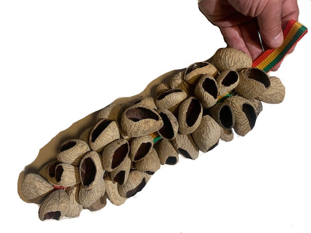 Hochet en grappe de coquilles de Pangi (50 à 60), 40 cm de long x 10 de diamètre